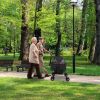 4 Wheels Pet Stroller Foldable Carrier Strolling Cart Travel Jogger Pet Stroller with Removable Liner Storage Basket for Dog Cat